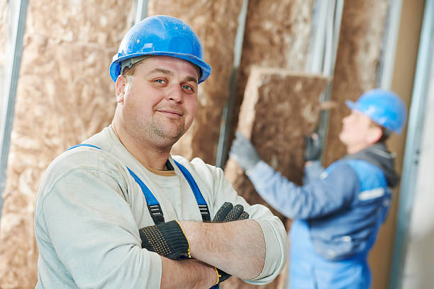 Best Local Insulation Services  in Del Rio, TX