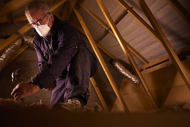 Best Fiberglass Insulation  in Del Rio, TX